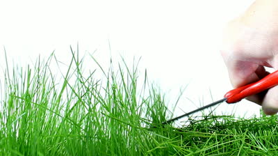 stock-footage-cutting-grass